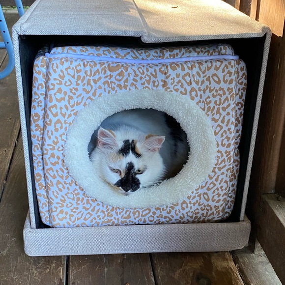 Meet your Posher, Robin. Thank you for stopping by and checking out my closet. - Picture 10 of 16